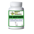 Dog And Cat Kryptonite Adrenal, Thyroid, Pituitary & Hypothalamic Support* Discount