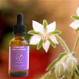 Starlight: White Borage Flower Essence on Sale