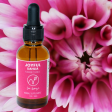 Joyful: Dahlia Flower Essence Supply