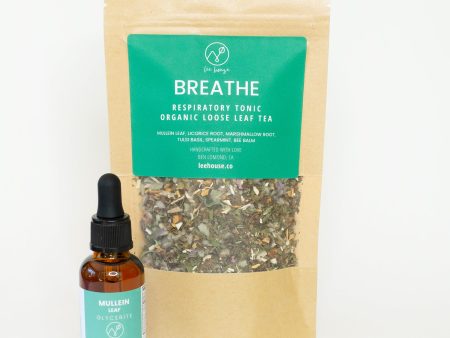 Breathe Easy Bundle Hot on Sale