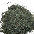 Stinging Nettle (Urtica dioica) Sale