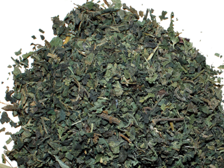 Stinging Nettle (Urtica dioica) Sale