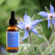 Courageous: Borage Flower Essence Discount