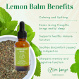 Lemon Balm Extract Online Hot Sale