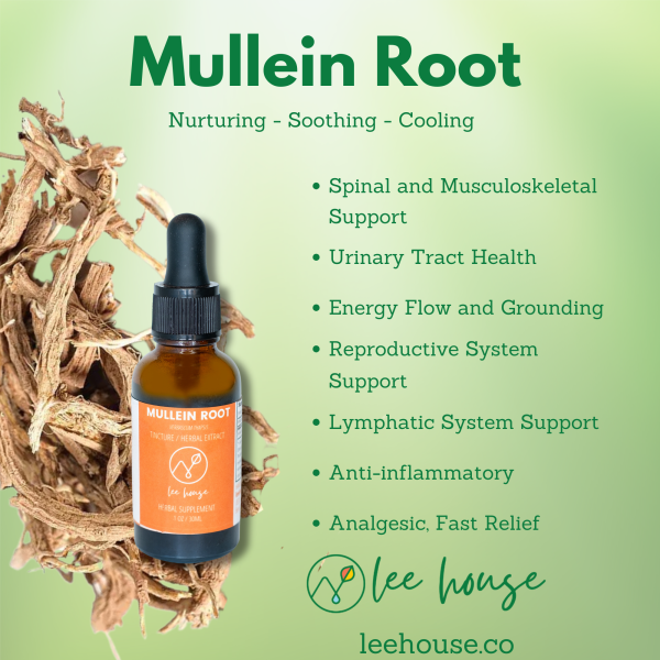 Mullein Root Tincture For Discount