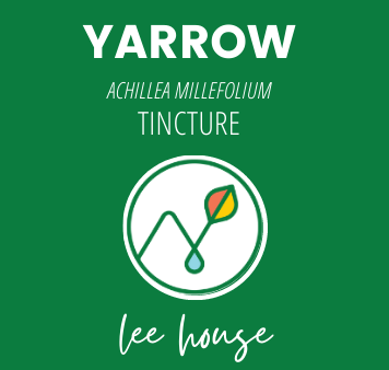 Yarrow Tincture on Sale