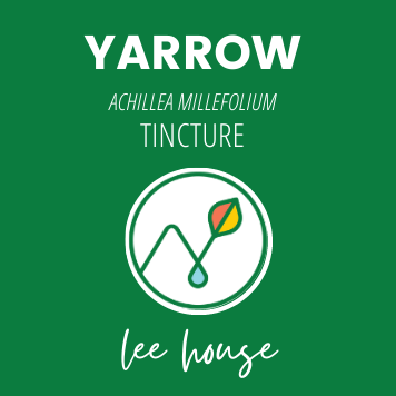 Yarrow Tincture on Sale