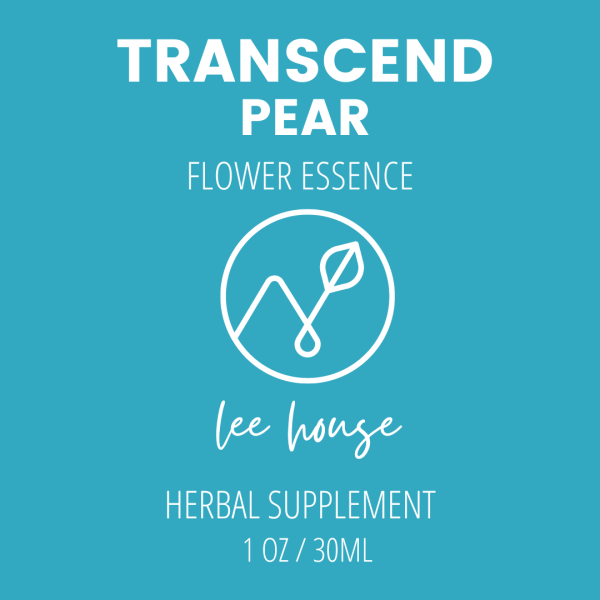 Transcend: Pear Blossom Flower Essence on Sale