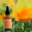 Soul Fire: California Poppy Essence Sale