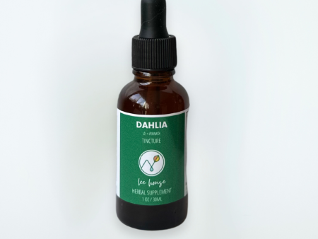 Dahlia Flower Extract Online