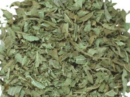 Lemon Verbena Online now