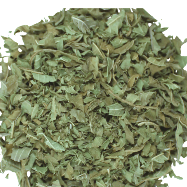 Lemon Verbena Online now