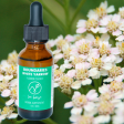 Boundaries: White Yarrow Flower Essence Fashion