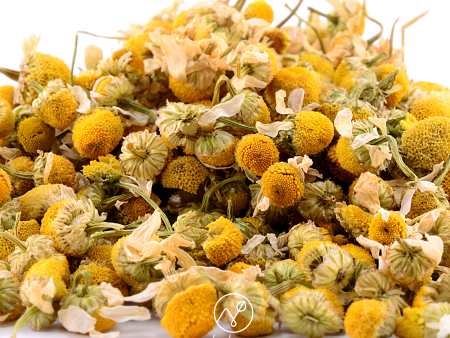 Chamomile Flowers For Sale