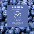 Blueberry Extract Online Hot Sale