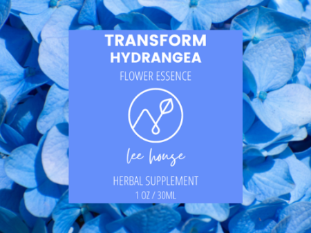 Transform: Hydrangea Flower Essence Discount