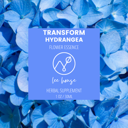 Transform: Hydrangea Flower Essence Discount