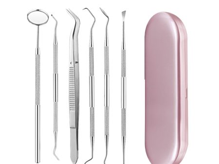 Stainless Steel Dental Tools Set Oral Care Kit with Metal Storage Case Fashion