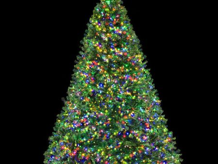 Jingle Jollys Christmas Tree 2.1m Xmas Tree Decor 2800 LED Lights 8 Modes Sale